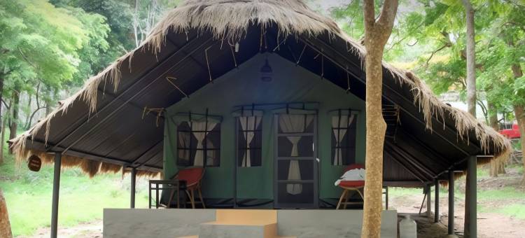 K古迪荒野营舍-丛林小屋(K Gudi Wilderness Camp-Jungle Lodges)图片