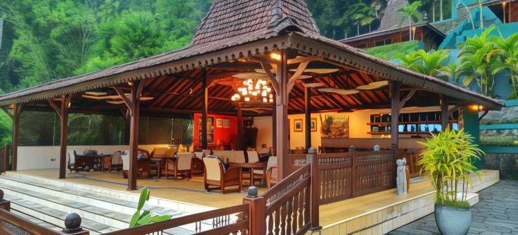 婆罗浮屠度假别墅(Villa Borobudur Resort)图片