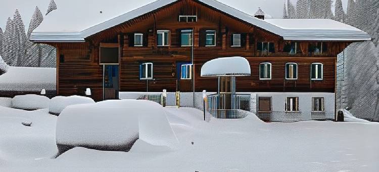 格里萨尔普酒店(Griesalp Hotels)图片