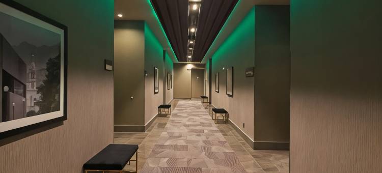 蒙特雷欧比斯帕多希尔顿花园酒店(Hilton Garden Inn Monterrey Obispado)图片