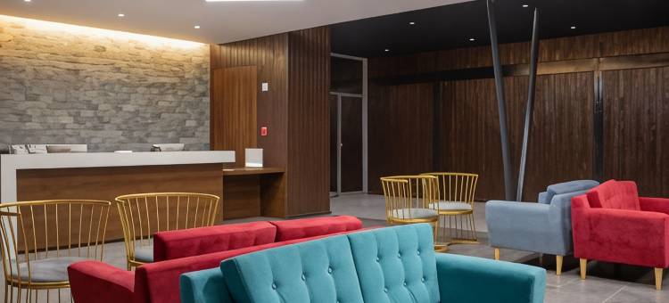 瓦勒纳尔罗斯奥利弗丽柏酒店(Park Inn by Radisson Los Olivos de Vallenar)图片