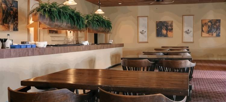 格林维尔美洲最佳价值套房酒店(Americas Best Value Inn and Suites Greenville)图片