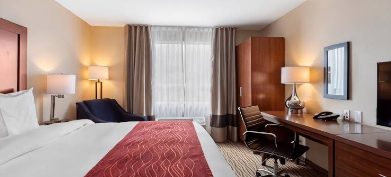 舒适套房酒店(Comfort Inn & Suites)图片