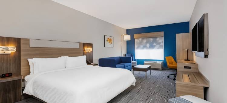 坦帕机场区体育场智选假日酒店及套房(Holiday Inn Express & Suites Tampa Stadium - Airport Area)图片