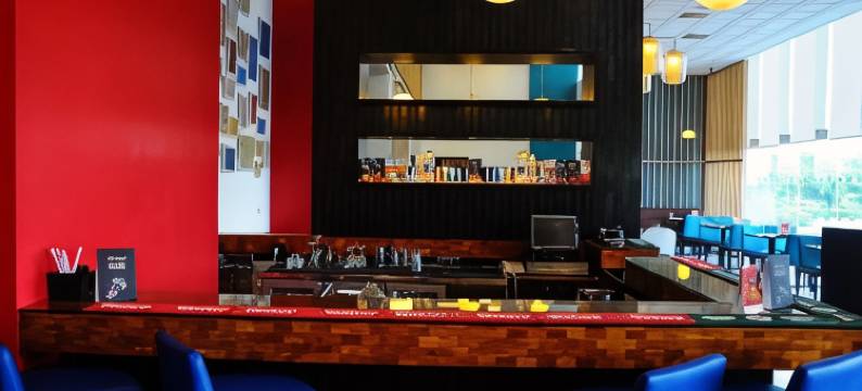 比拉斯布尔丽柏酒店(Park Inn by Radisson Gurgaon Bilaspur)图片