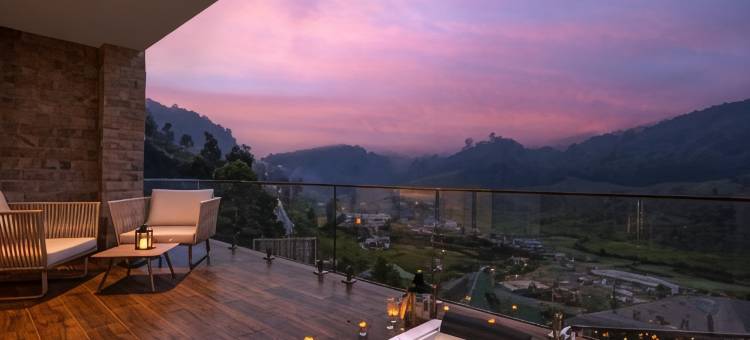 金岭酒店(The Golden Ridge Hotel)图片