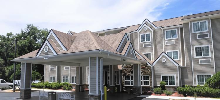 杰克逊维尔机场麦客达温德姆酒店及套房(Microtel Inn & Suites by Wyndham Jacksonville Airport)图片