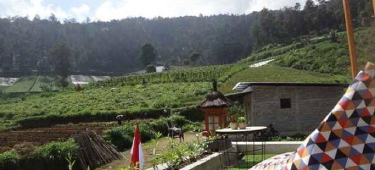 Punyan Resthouse图片