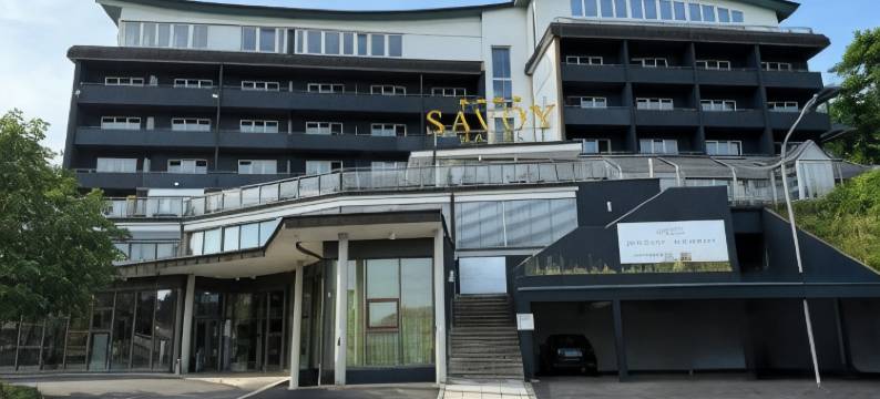 梅根海姆萨沃伊酒店(Savoy Hotel Bad Mergentheim)图片