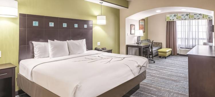 达拉斯大草原城南部拉昆塔温德姆套房酒店(La Quinta Inn & Suites by Wyndham Dallas Grand Prairie South)图片