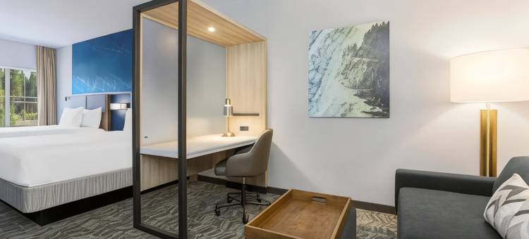 特拉基太浩湖万豪春山套房酒店(SpringHill Suites by Marriott Truckee Lake Tahoe)图片