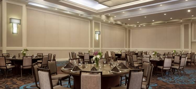 圣彼得堡海湾希尔顿酒店(Hilton St. Petersburg Bayfront)图片