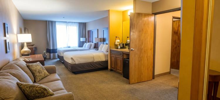 舒适套房酒店(Comfort Inn & Suites)图片
