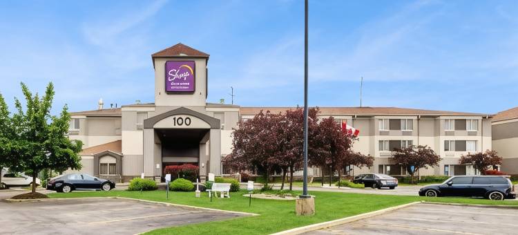 布法罗机场舒眠套房酒店(Sleep Inn & Suites Buffalo Airport)图片