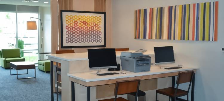 布赖尔河罗利机场智选假日套房酒店(Holiday Inn Express & Suites Raleigh Airport - Brier Creek)图片