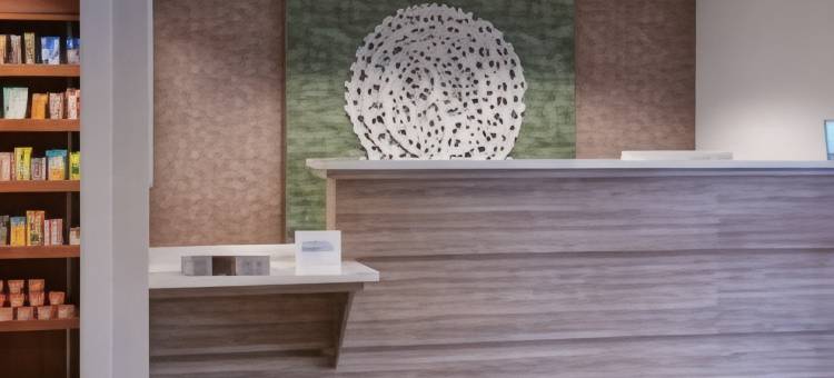 底特律利沃尼万枫酒店(Fairfield Inn & Suites Detroit Livonia)图片