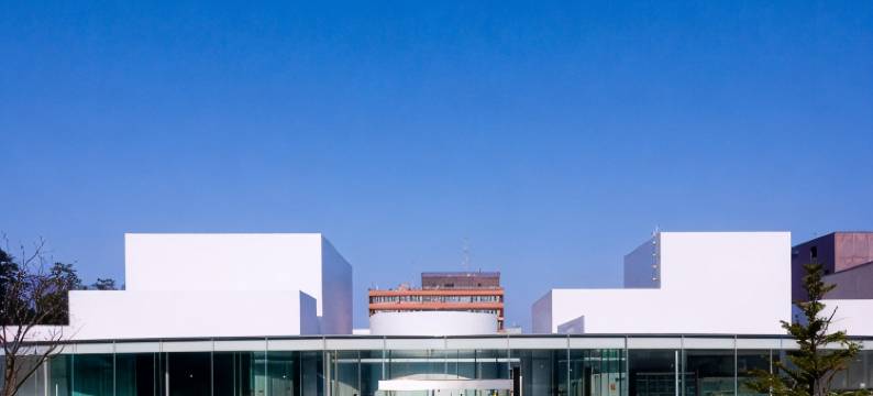 金泽胶囊酒店武藏町(Kanazawa capsulehotel Musashimachi)图片