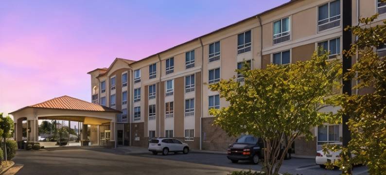 舒适酒店及套房提夫顿(Comfort Inn & Suites)图片