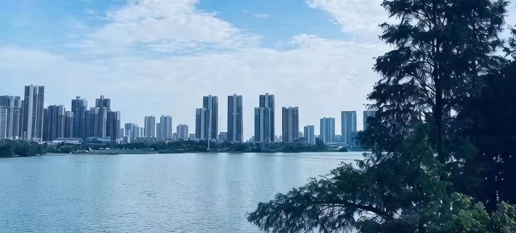 苏州宝隆宾馆图片
