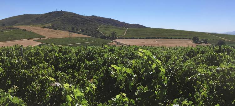 日出日落库特里耶区公寓酒店(Domaine Coutelier)图片