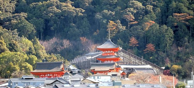 Stay SAKURA  京都 祗园宫川町(Stay Sakura Kyoto Gion Miyagawacho)图片