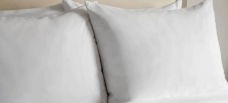 阿马里洛中央万枫套房酒店(Fairfield Inn & Suites Amarillo Central)图片