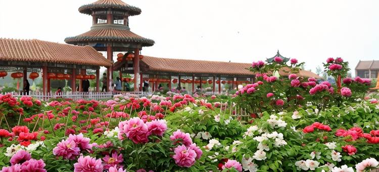 陌舒酒店(菏泽丹阳路店)图片