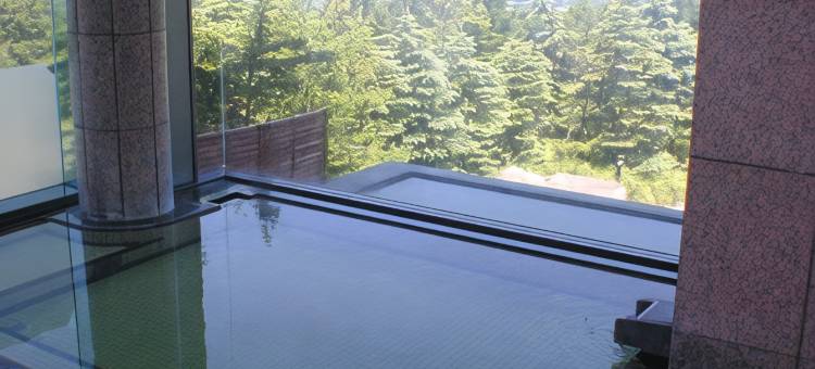 青森岩木山温泉度假酒店(Rockwood Hotel & Spa)图片