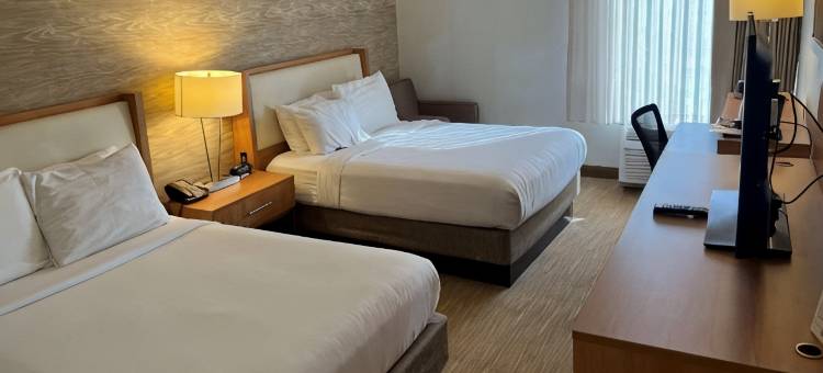 蒙哥马利东 I-240 快捷假日酒店(舒眠套房酒店孟菲斯)(Sleep Inn & Suites)图片