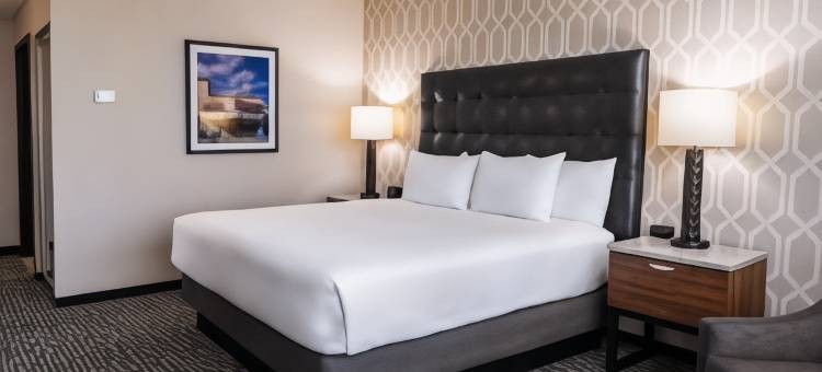 德鲁里广场酒店达拉斯阿林顿(Drury Plaza Hotel Dallas Arlington)图片