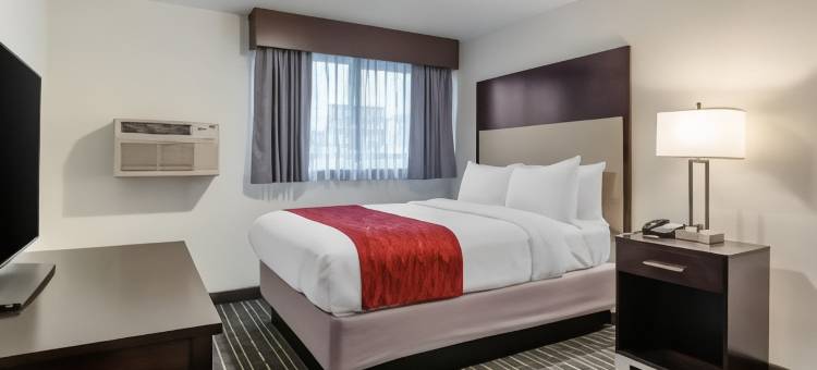 蒂加德-近华盛顿广场舒适套房酒店(Comfort Inn & Suites Tigard Near Washington Square)图片