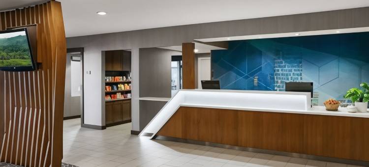 坦佩亚利桑那米尔斯购物中心万豪SpringHill酒店(SpringHill Suites Tempe at Arizona Mills Mall)图片