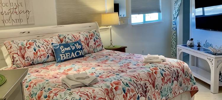 步行可达海滩度假屋，海滨特惠！4卧2.5卫，交通便利+美景！(Beach Side Discounts! 4Bd 2.5ba Short Walk 2 Beach & Easy Access+Views!)图片