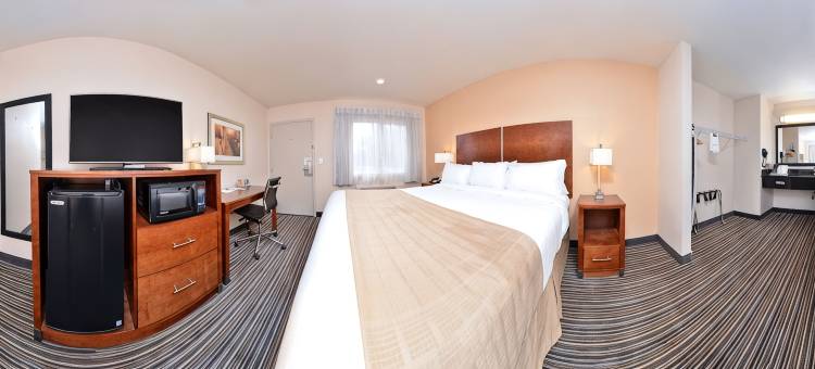 马丁内斯罗德威旅馆(Rodeway Inn Martinez)图片