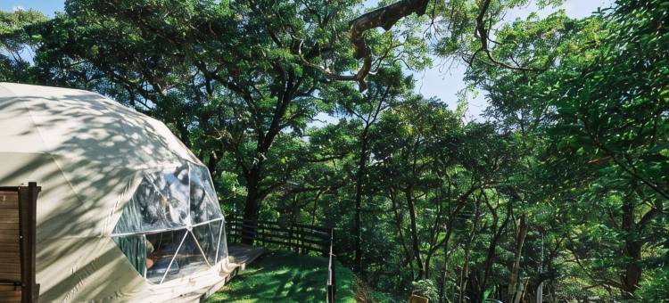 GLAMFOREST OKINAWA 名护(GLAMFOREST OKINAWA NAGO)图片