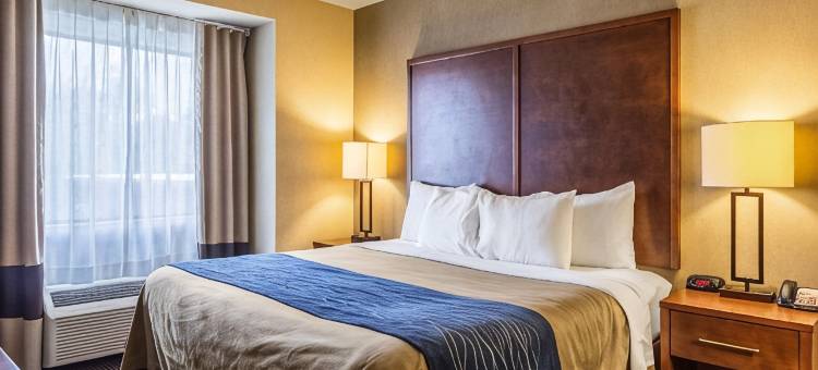 图珀洛舒适酒店(Comfort Inn)图片