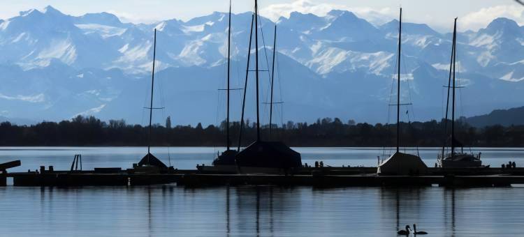 贝因维尔瑞士质量湖边酒店(Seehotel Beinwil am See Swiss Quality)图片