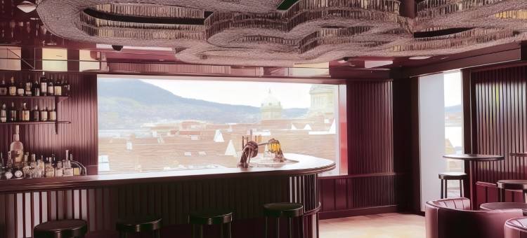 伯恩贝斯特韦斯特优质酒店(Best Western Plus Hotel Bern)图片