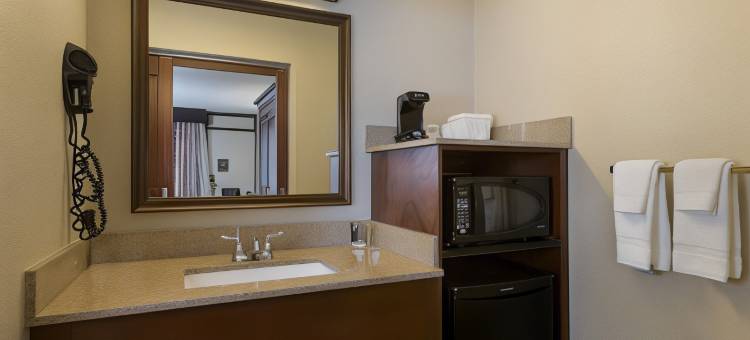 罗森国际酒店(Rosen Inn International Near the Parks)图片