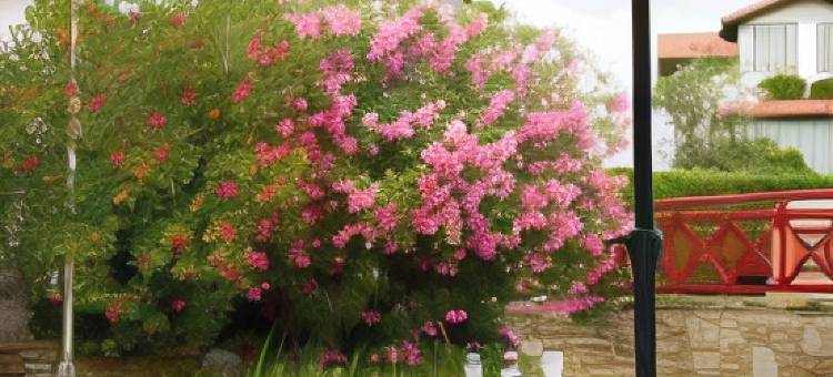 欧霍伊扎蓝色假日住宅酒店(Hôtel & Résidence Vacances Bleues Orhoïtza)图片