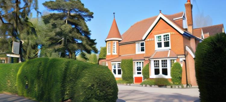 草坪贵宾大酒店(The Lawn Guest House Gatwick)图片