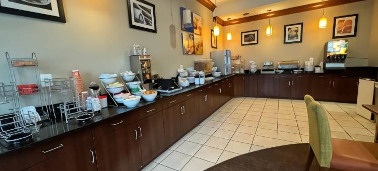 舒适套房酒店(Comfort Inn & Suites)图片