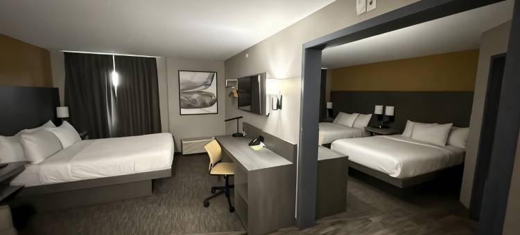 斯托尼普莱恩温德姆戴斯酒店(Days Inn by Wyndham Stony Plain)图片