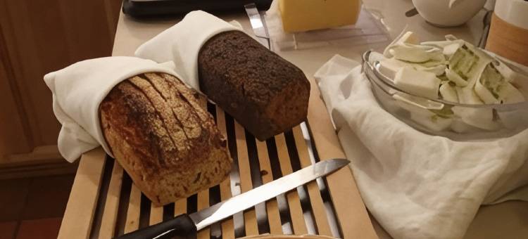 尼亚帕尔拉斯酒店(Nya Pallas Hotel)图片