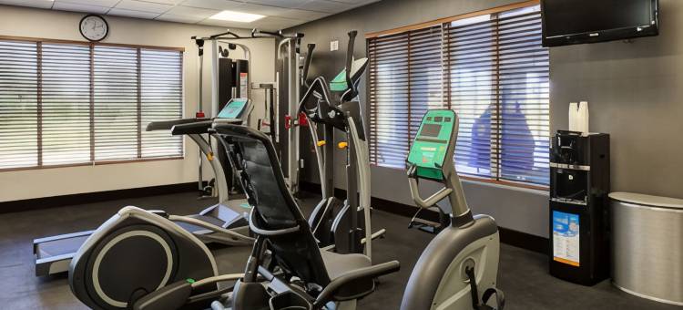智选假日套房酒店弗里蒙特(Holiday Inn Express & Suites North Fremont)图片
