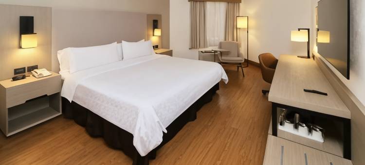 Holiday Inn 提华纳ZONA德尔里奥(Holiday Inn Tijuana Zona Rio)图片