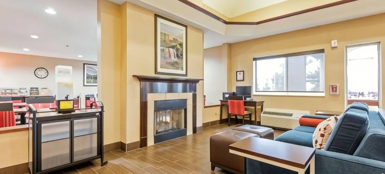 舒适套房酒店罗切斯特亨利埃塔大学区(Comfort Suites Rochester Henrietta University Area)图片