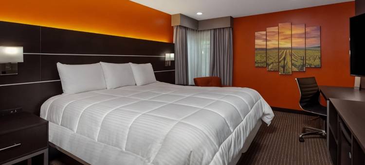 Hotel Vinea, a Travelodge by Wyndham图片