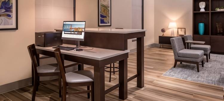 达拉斯艾迪生假日套房酒店(Holiday Inn & Suites Dallas-Addison)图片