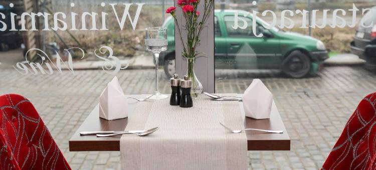 城堡中心酒店(Hotel Zamek Centrum)图片